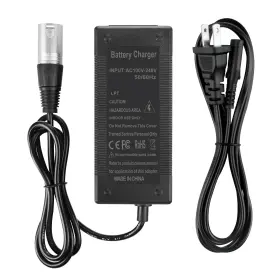 757631653067 PKPOWER Ac Adapter Charger Golden Buzzaround