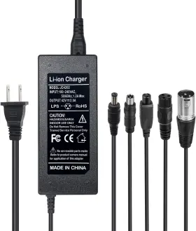 313054946935 WANHIRUS Charger Plugs Scooter Lithium Battery