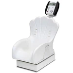 Detecto Digital Inclined Chair Pediatric Scale. Fixed Price $1971.98.